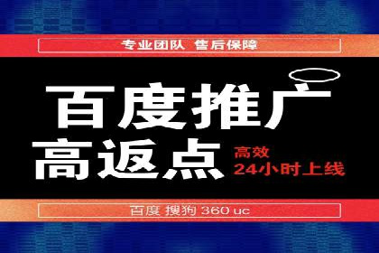 提升转化率：SEM竞价专员的案例研究